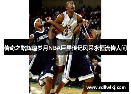传奇之路辉煌岁月NBA巨星传记风采永恒流传人间
