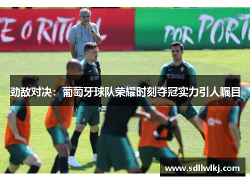 劲敌对决：葡萄牙球队荣耀时刻夺冠实力引人瞩目