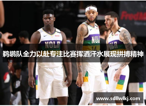 鹈鹕队全力以赴专注比赛挥洒汗水展现拼搏精神