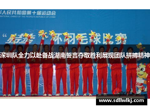 深圳队全力以赴备战湖南誓言夺取胜利展现团队拼搏精神