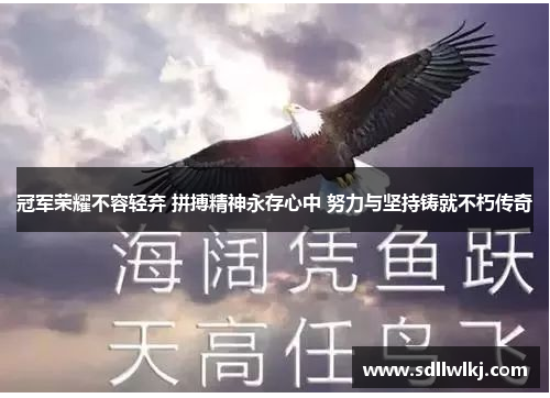 冠军荣耀不容轻弃 拼搏精神永存心中 努力与坚持铸就不朽传奇