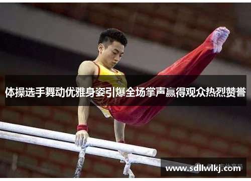体操选手舞动优雅身姿引爆全场掌声赢得观众热烈赞誉