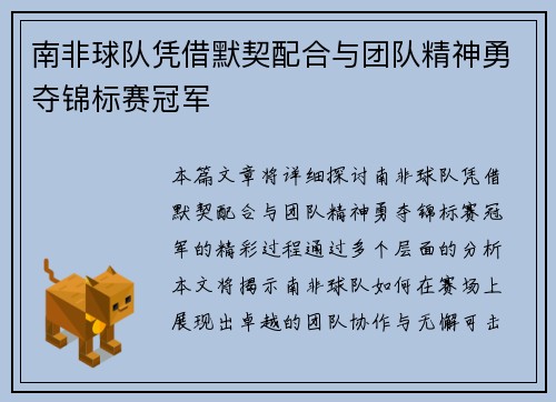 南非球队凭借默契配合与团队精神勇夺锦标赛冠军
