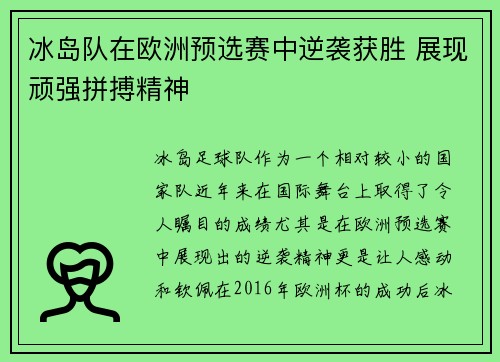 冰岛队在欧洲预选赛中逆袭获胜 展现顽强拼搏精神